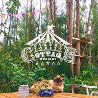 Okinawa starry forest cottage