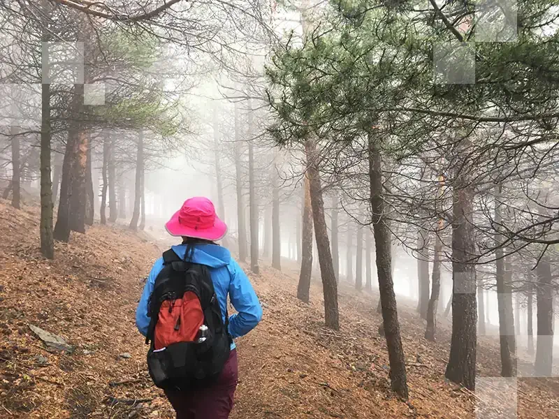 Spacer po lesie w Las Alpujarras, Hiszpania 