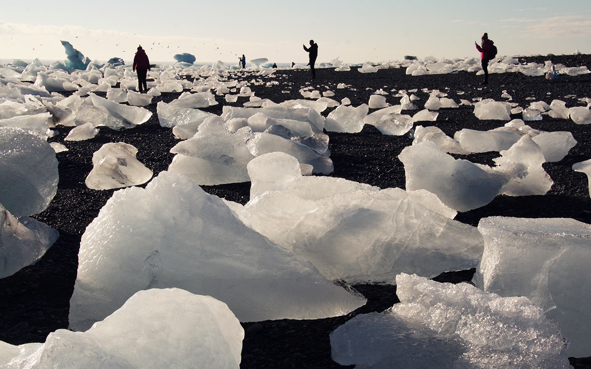 Bryły lodu na Islandii