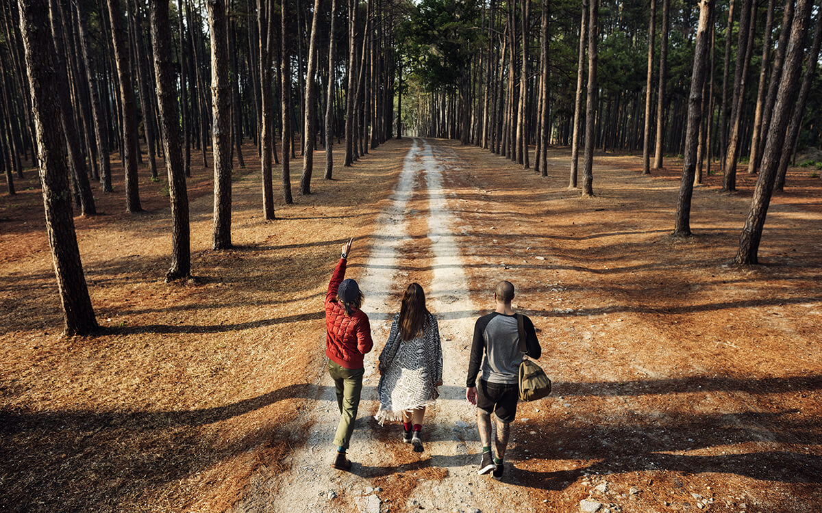 Wspólny spacer po lesie