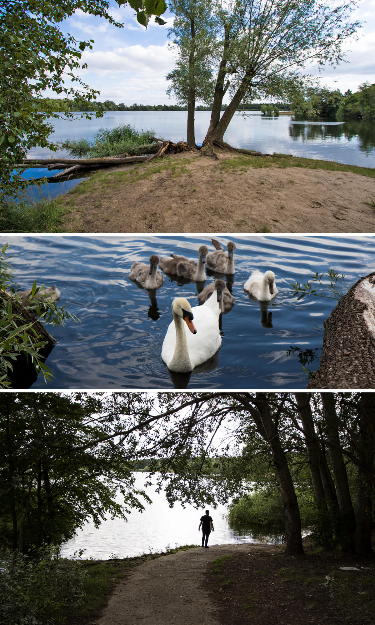 Jezioro Flughafensee i okolice