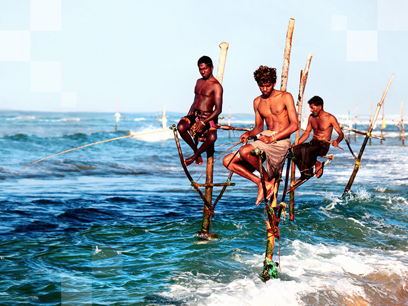 Rybacy z miasta Galle podczas połowu tradycyjną metodą.