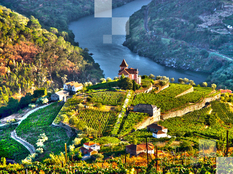 Landscape in Douro Valley, Portugal