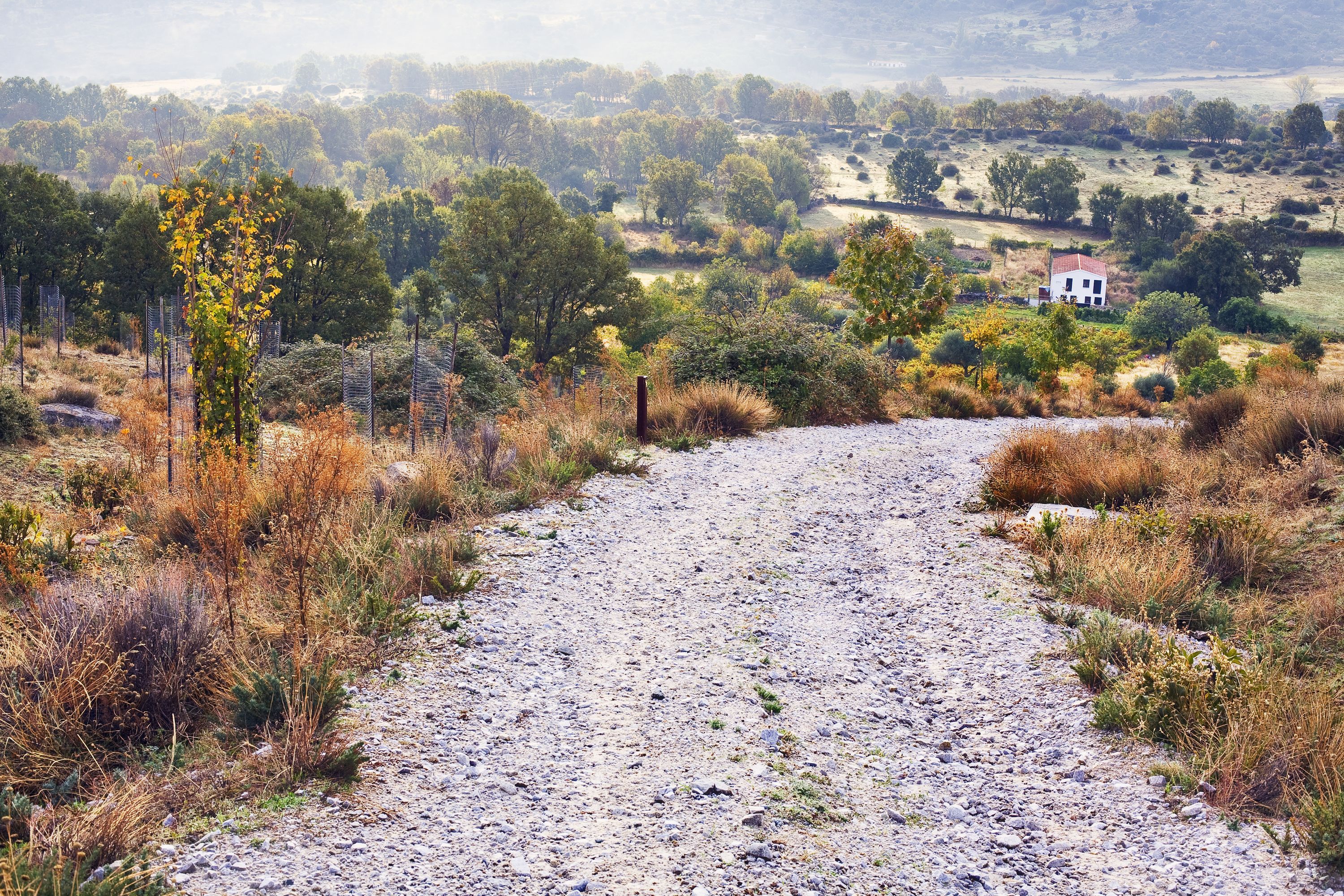 Wypożyczalnie samochod&oacute;w Las Rozas