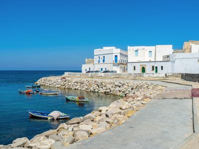 Al-Mahdijja