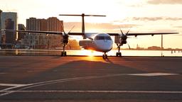 Znajdź tanie loty liniami Porter Airlines