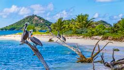 Hotele Grenada