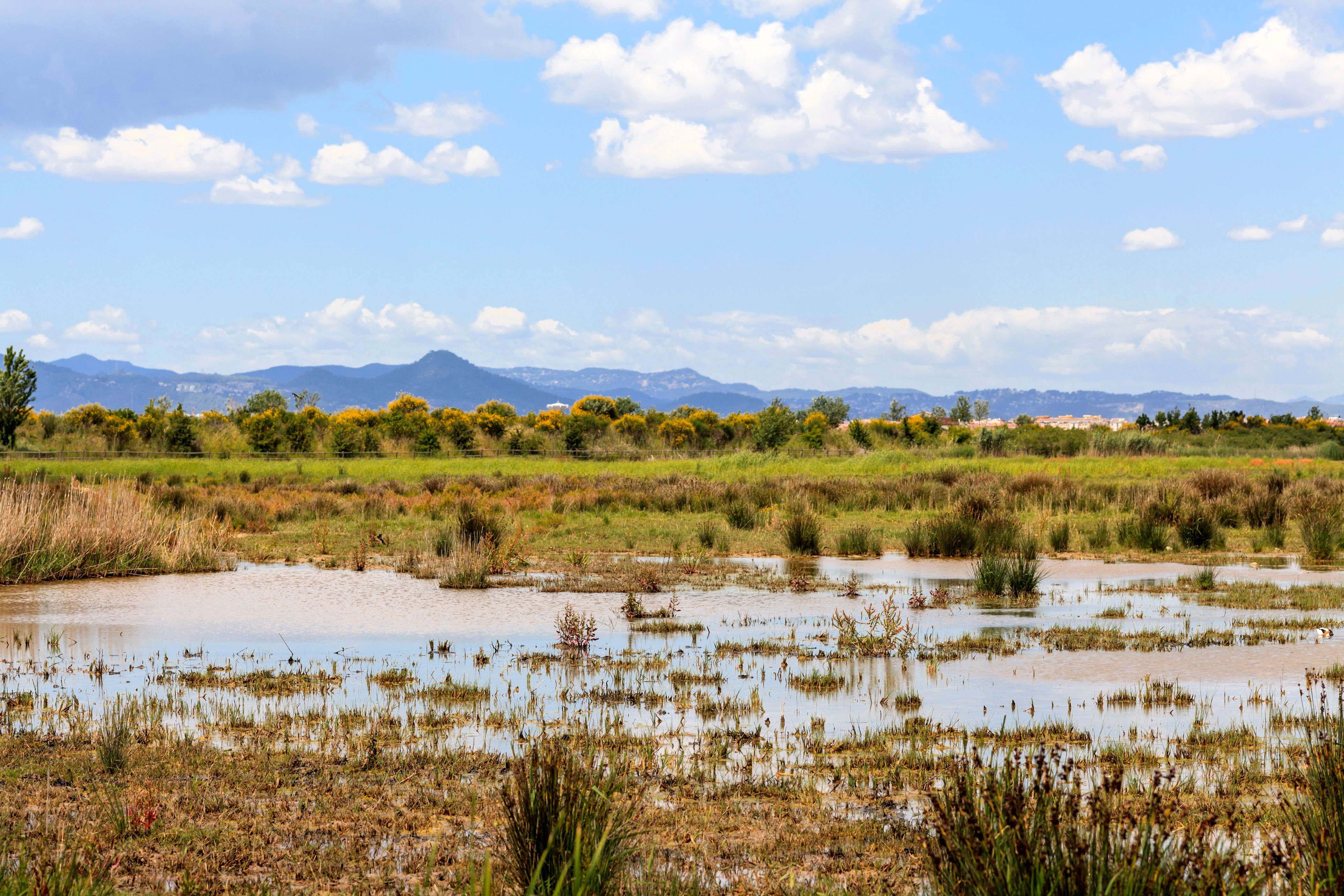 Wypożyczalnie samochod&oacute;w El Prat de Llobregat