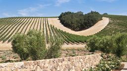 Hotele: Paso Robles