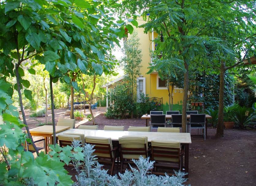 Patio Zdjęcie
