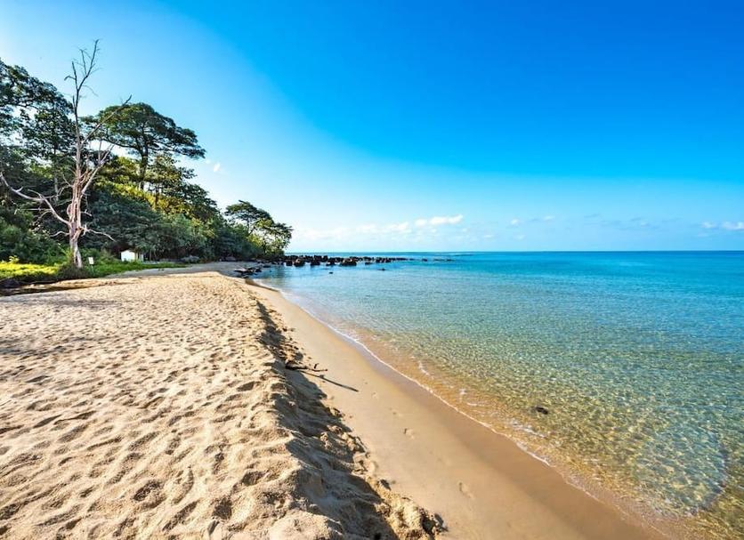 Plaża Zdjęcie