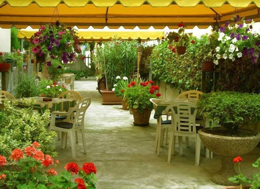 Patio Zdjęcie