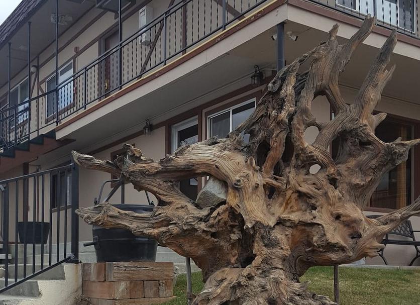 Widok na zewnątrz Zdjęcie