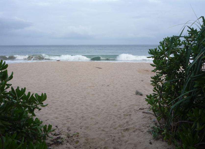 Plaża Zdjęcie