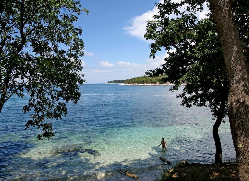 Plaża Zdjęcie