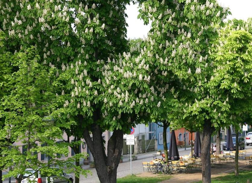 Widok na zewnątrz Zdjęcie