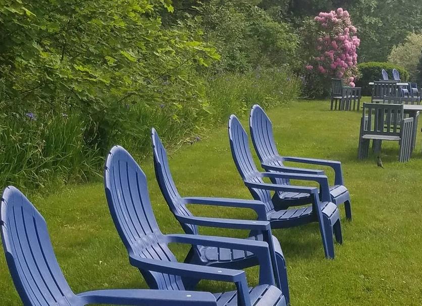 Patio Zdjęcie