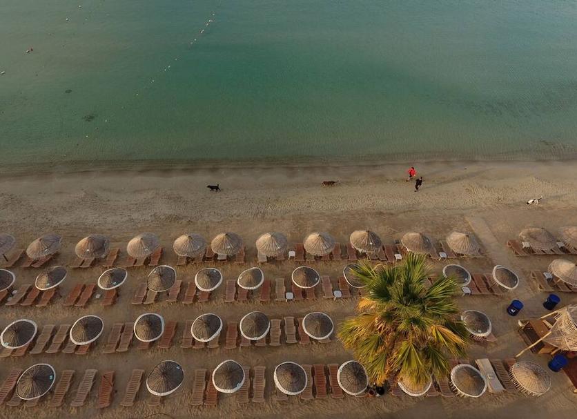 Plaża Zdjęcie