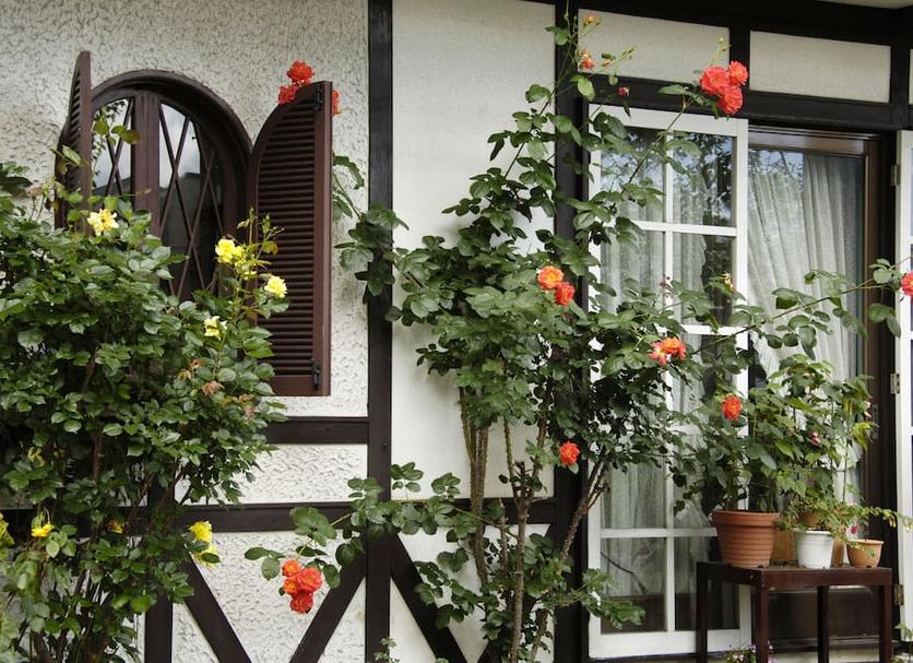 Widok na zewnątrz Zdjęcie