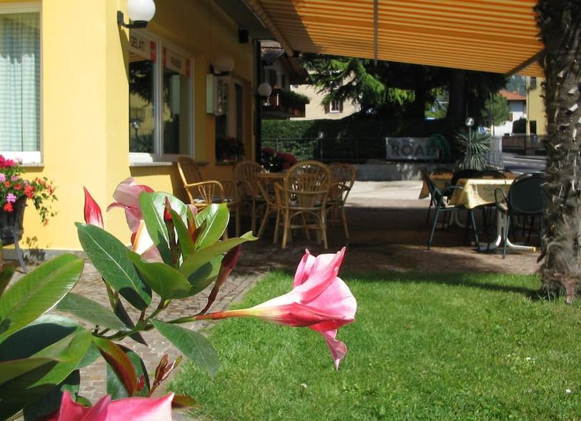 Patio Zdjęcie