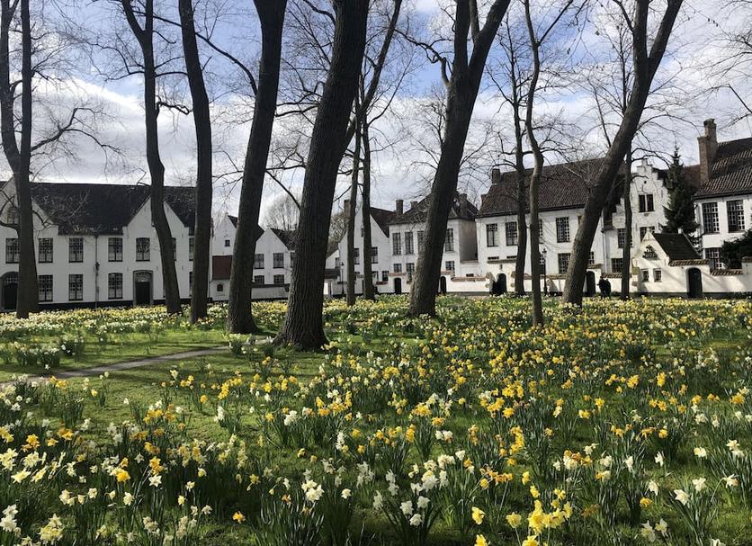 Widok na zewnątrz Zdjęcie