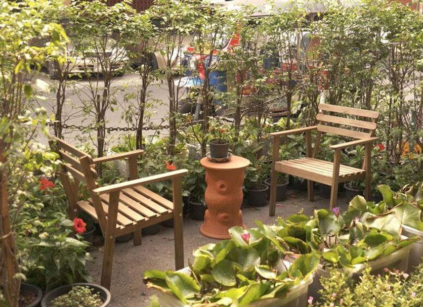 Patio Zdjęcie