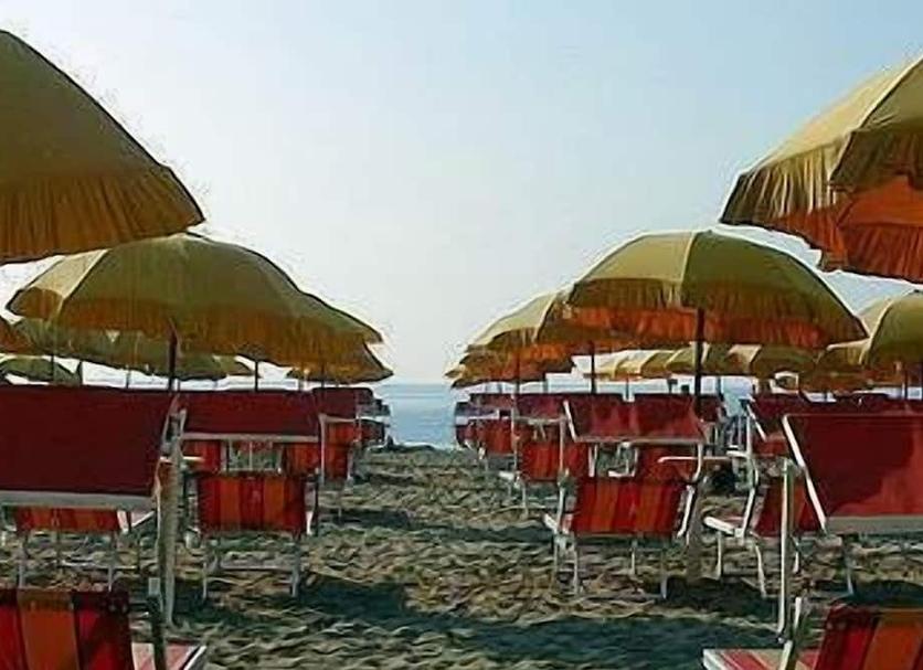 Plaża Zdjęcie