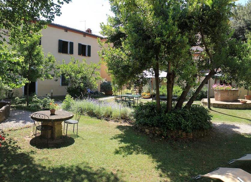 Patio Zdjęcie