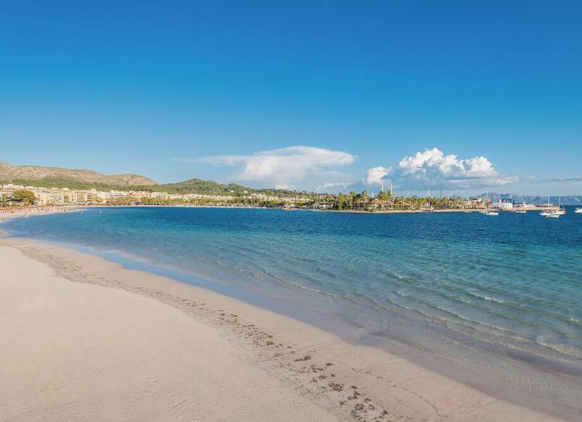 Plaża Zdjęcie