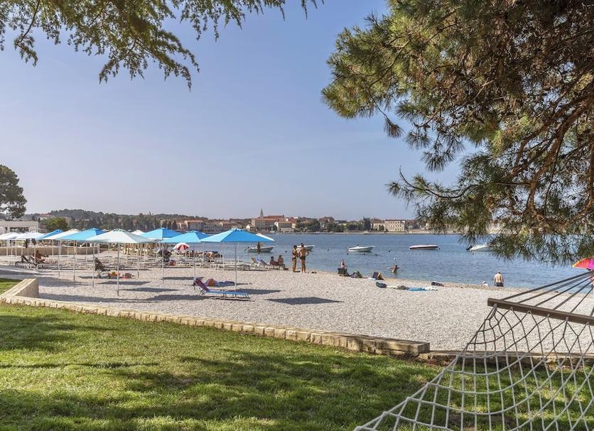 Plaża Zdjęcie