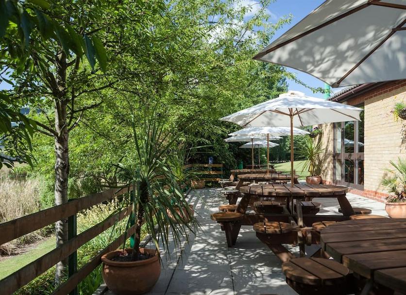 Patio Zdjęcie