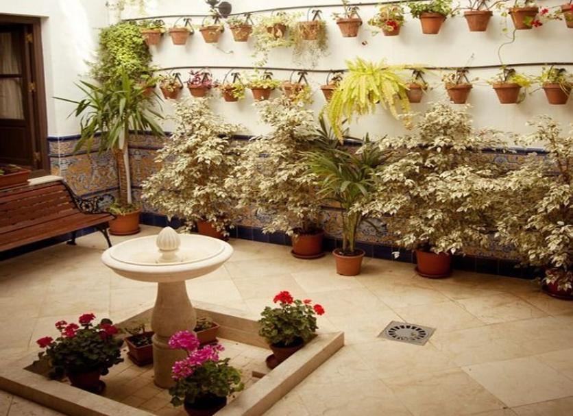 Patio Zdjęcie