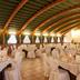 Sala bankietowa