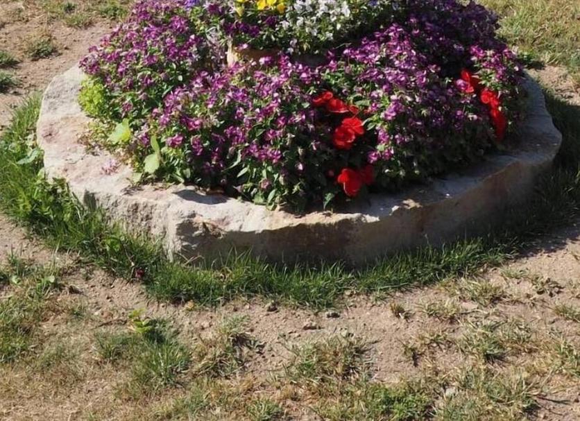 Widok na zewnątrz Zdjęcie