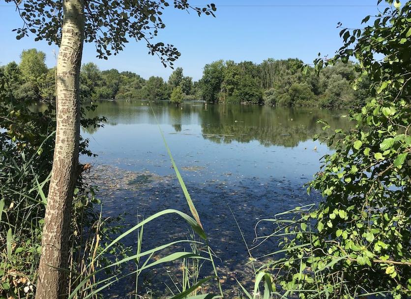 Widok na zewnątrz Zdjęcie