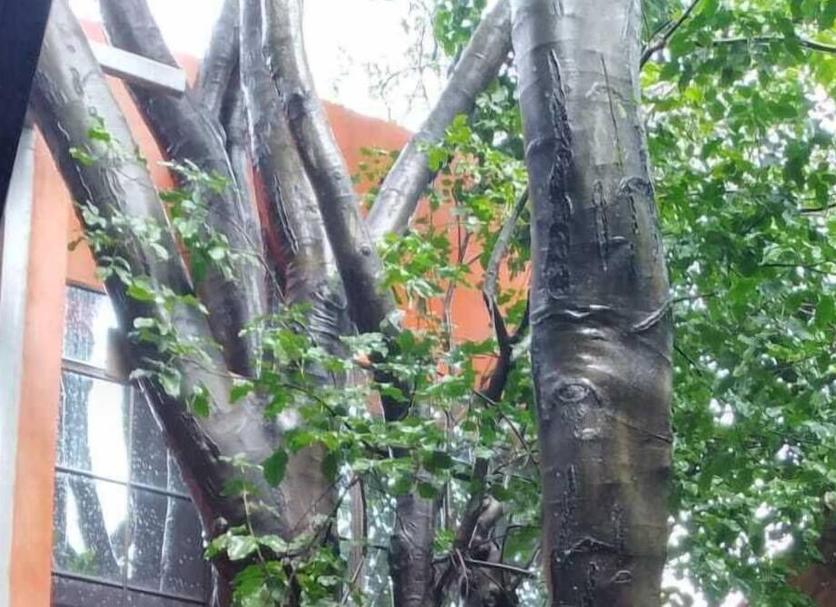 Widok na zewnątrz Zdjęcie