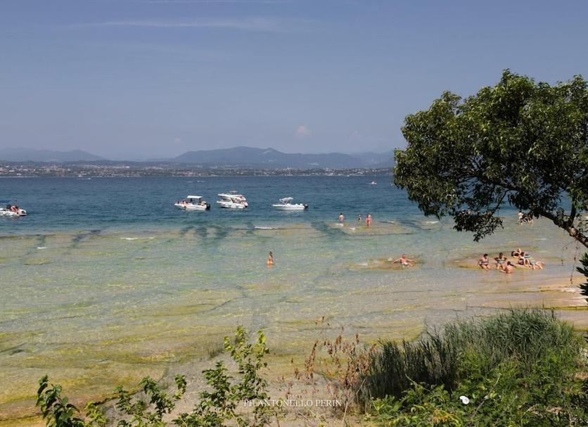 Plaża Zdjęcie