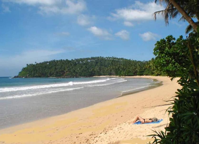 Plaża Zdjęcie