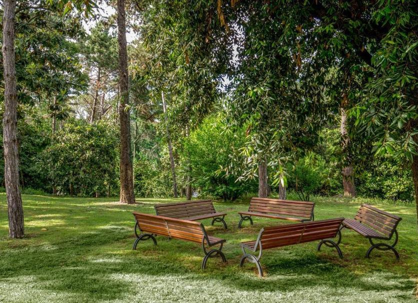 Patio Zdjęcie