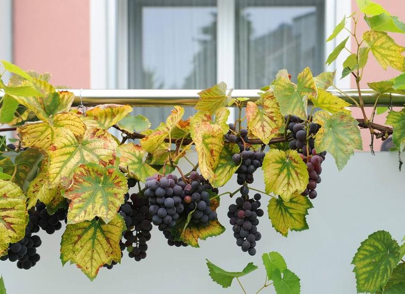Widok na zewnątrz Zdjęcie