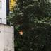 Widok na zewnątrz