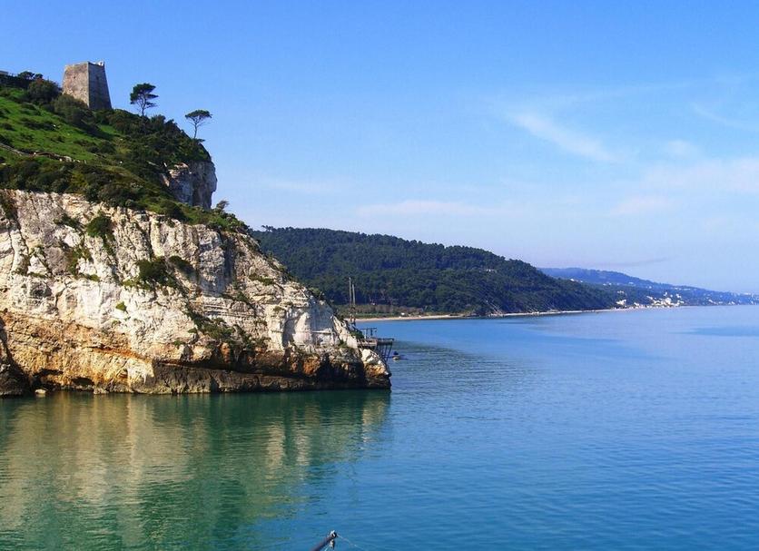 Plaża Zdjęcie