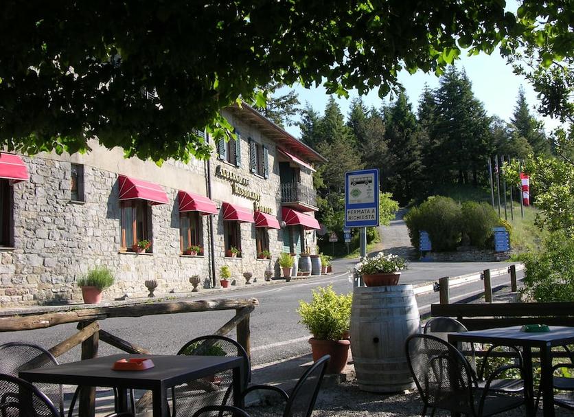 Patio Zdjęcie