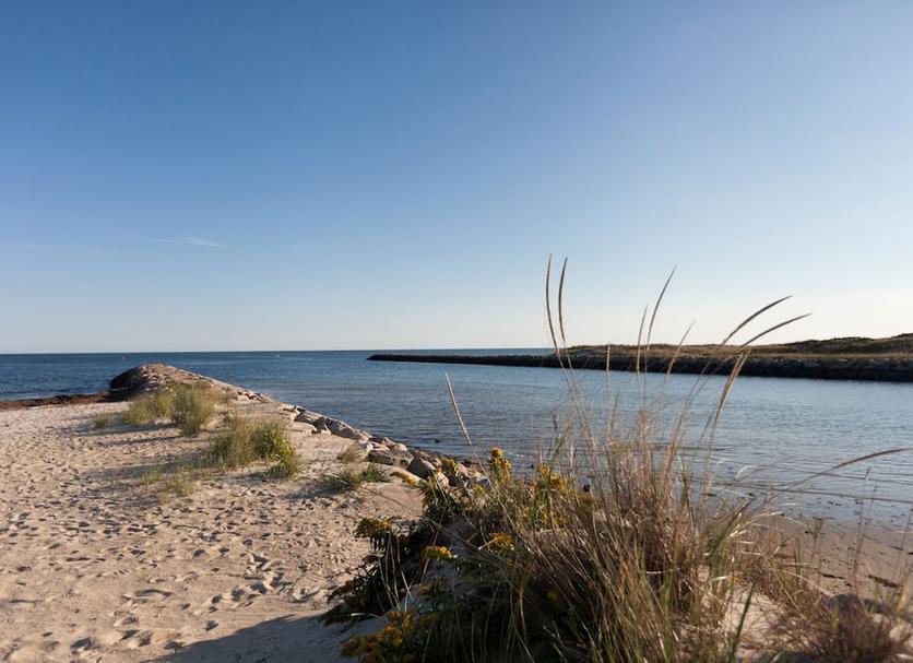 Plaża Zdjęcie