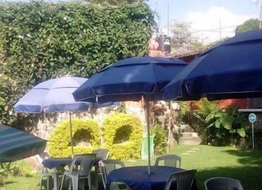 Patio Zdjęcie