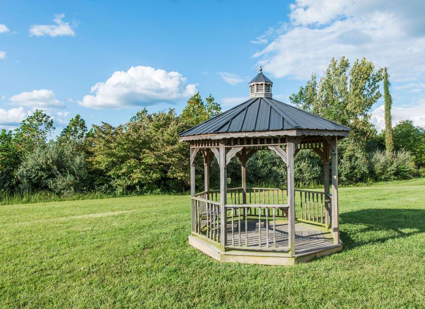 Patio Zdjęcie