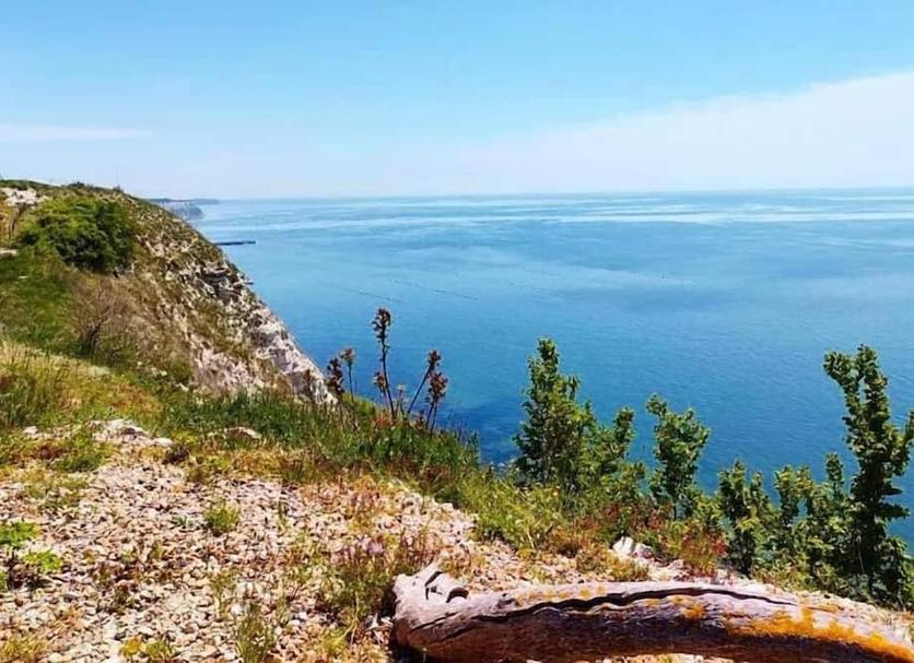 inna Zdjęcie