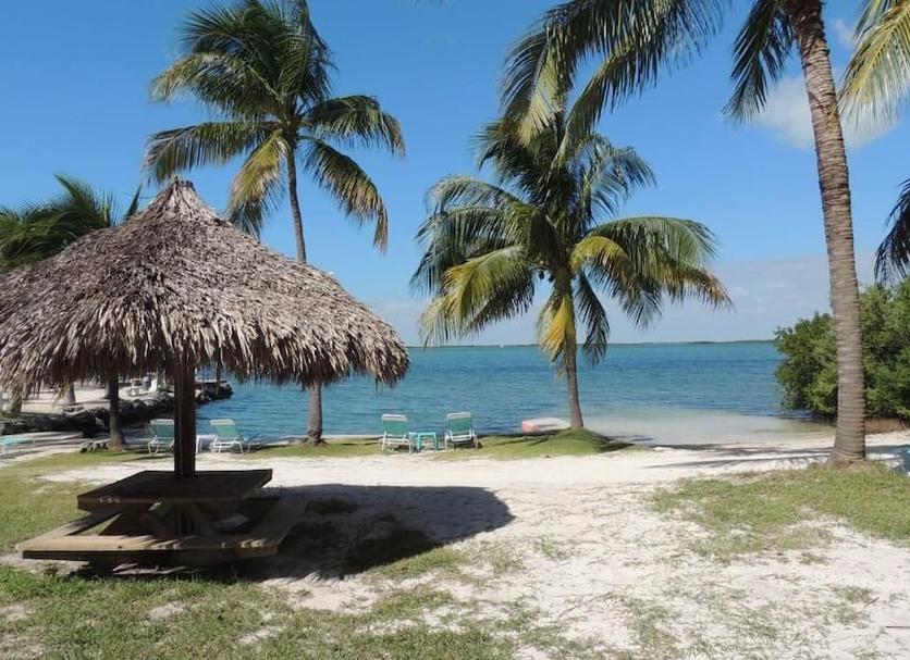 Plaża Zdjęcie