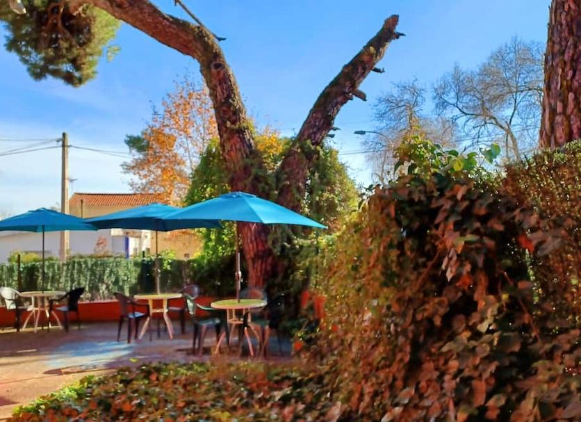 Patio Zdjęcie