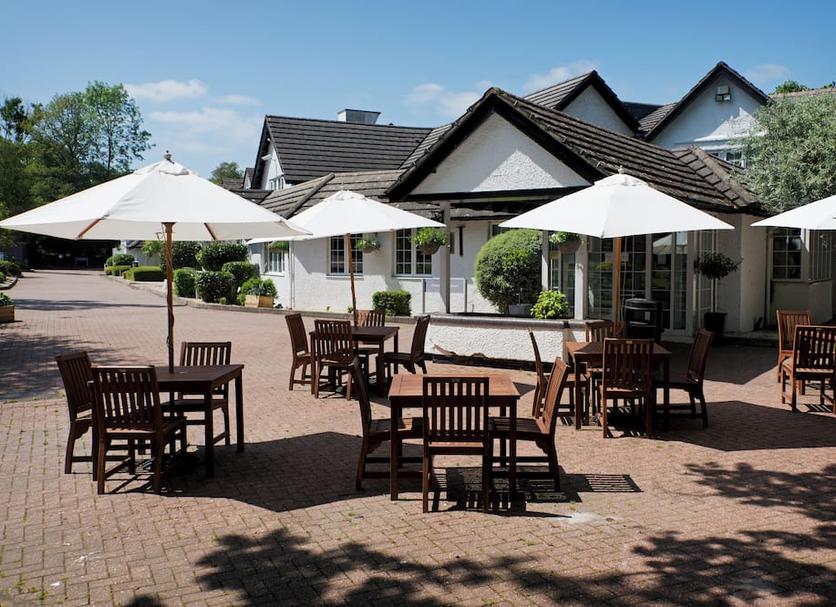 Patio Zdjęcie